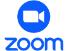 zoom logo